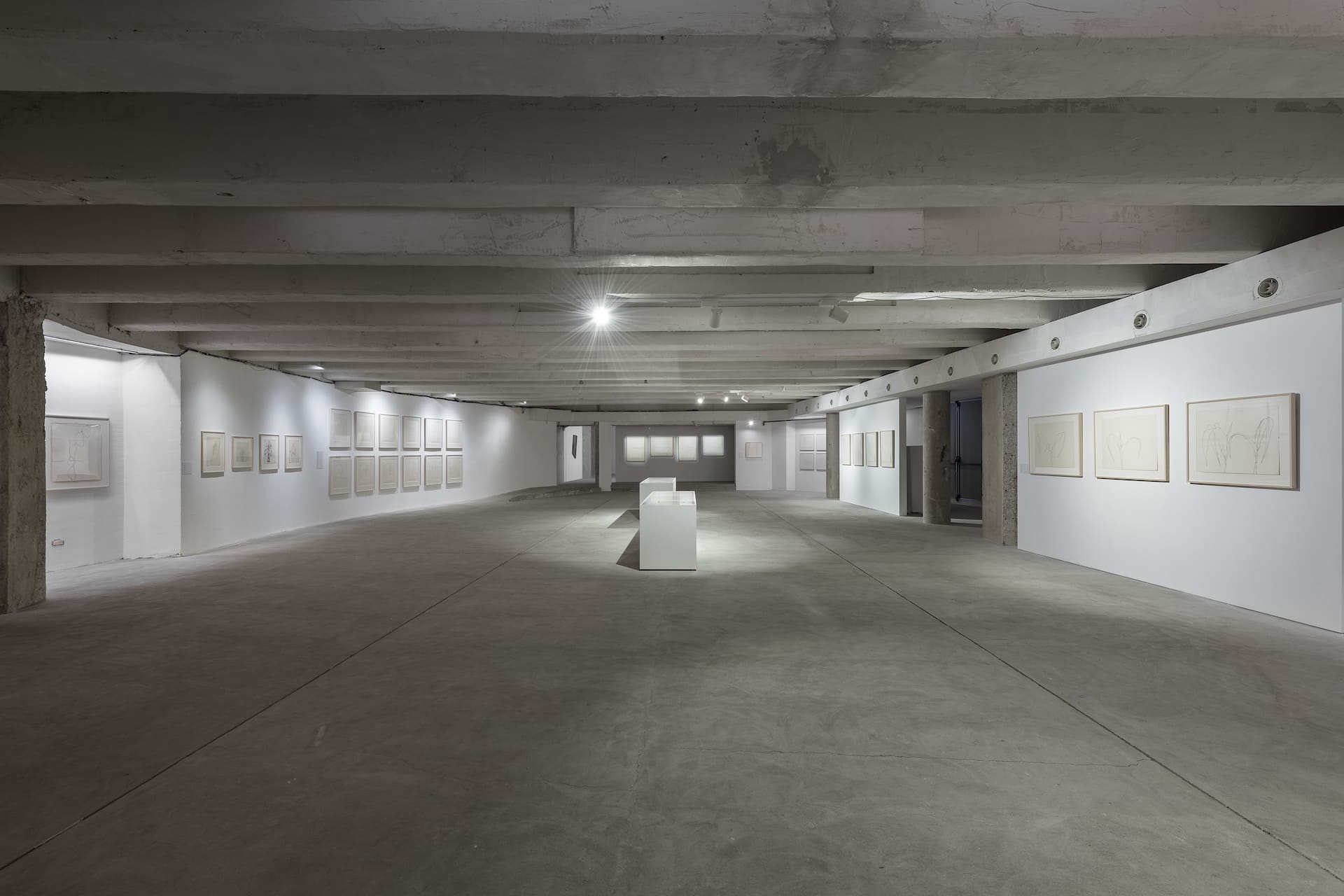 Installation view, Ellsworth_Kelly_Line, Form, Color, 2023, Fondazione Nicola Del Roscio, Roma, ph. S.Luciano ©FNDR - 14